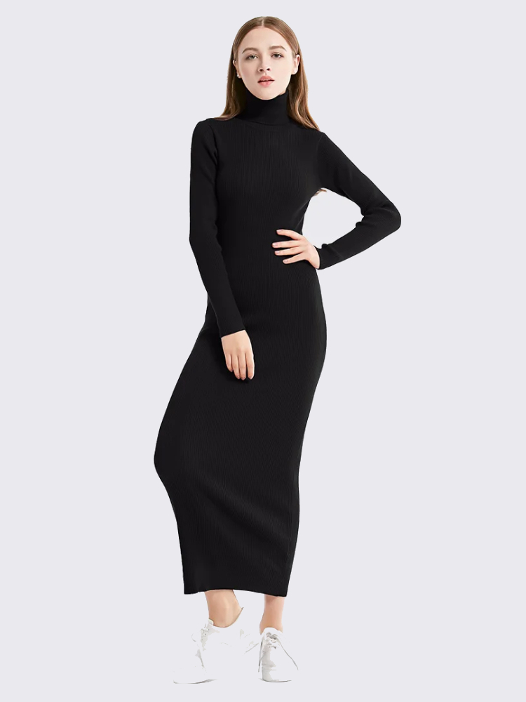 Robe Col Roulé Longue